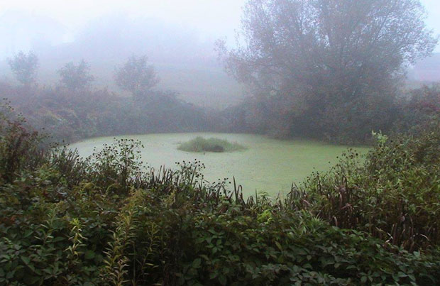 Љубавни пар је овде пропао у земљу, удавио се сељанин - вукодлак, ако се у њега загледате заборавићете како се зовете: Ово језеро прате многе легенде, а због њих се зове - Безимено